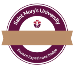 Example of the bronze badge