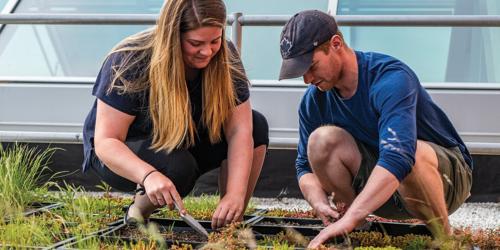 Two students crouching while gardening.